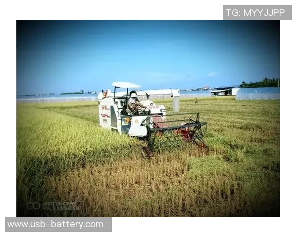 当年足球明星重返赛场看今朝他们的风采与时代的变迁 当年足球明星重返赛场看今朝他们的风采与时代的变迁