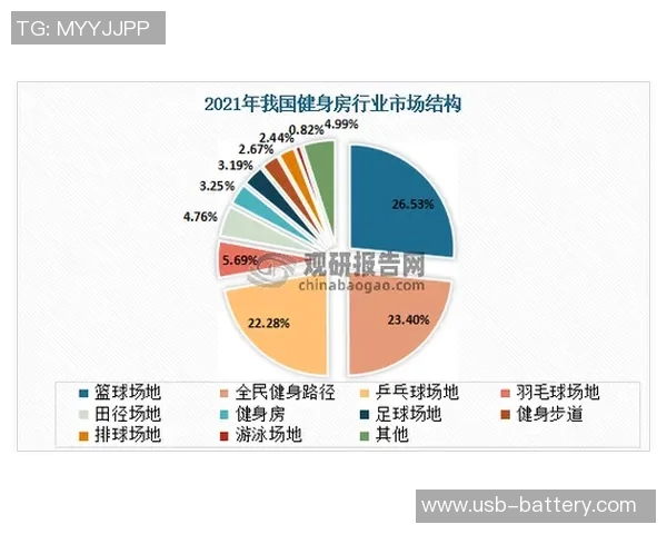 武汉篮球队灵活性表现的数据分析与战术调整探讨